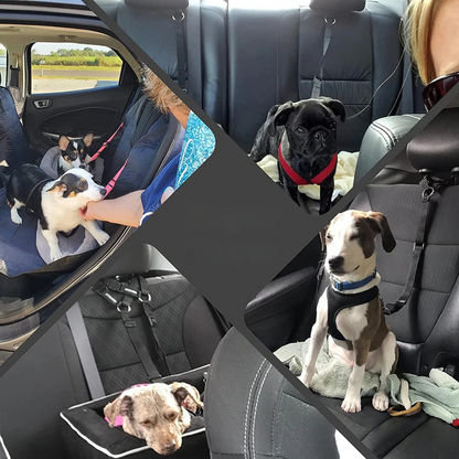 Cinto de Segurança para Cães e Gatos – Guia de Segurança com Presilha no Encosto de Cabeça, Ajustável