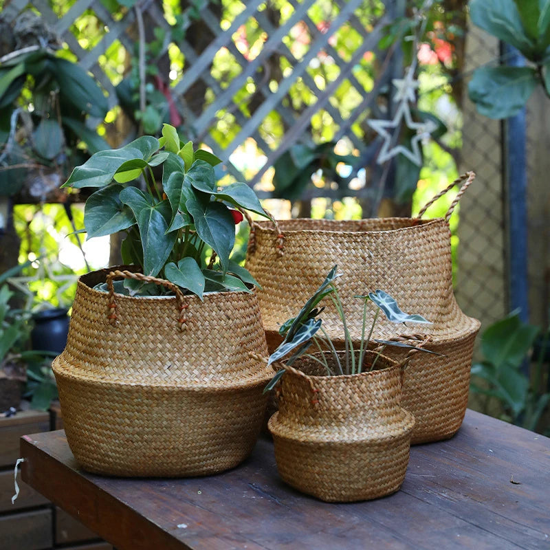 Cesta de Bambu de Alga Marinha – Cesta de Armazenamento Multifuncional, Cesta de Rattan