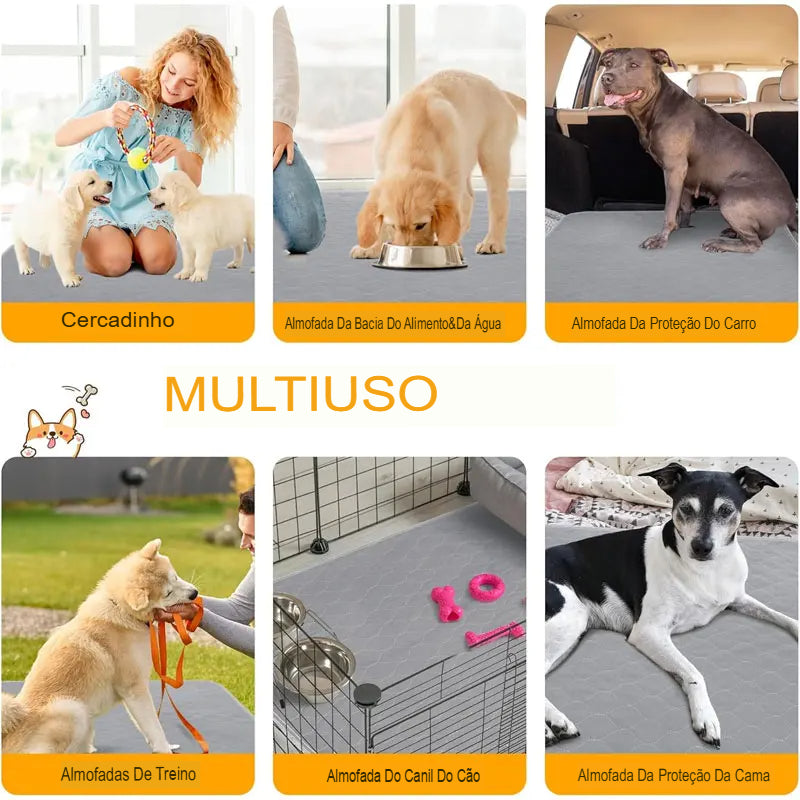 Tapetes laváveis para cães  – À Prova d'Água, Absorvente e Lavável