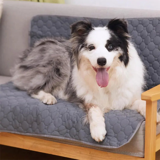 Tapetes laváveis para cães  – À Prova d'Água, Absorvente e Lavável